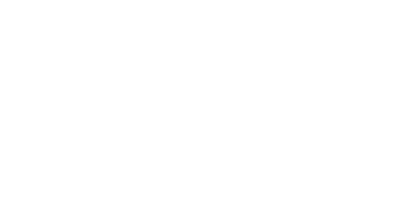 SingleWire-Logo